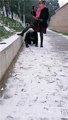 图片[5]_【乐爷】野外-冰天雪地-遛狗虐待_HD绳艺资源