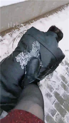 图片[8]_【乐爷】野外-冰天雪地-遛狗虐待_HD绳艺资源