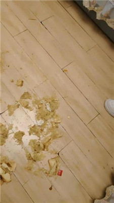 图片[8]_【樱樱】双S-俄罗斯混血S-踩面包-踩狗【四】_HD绳艺资源