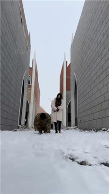 【辣姐】冰天雪地虐狗被路人偶遇-翻车_HD绳艺资源