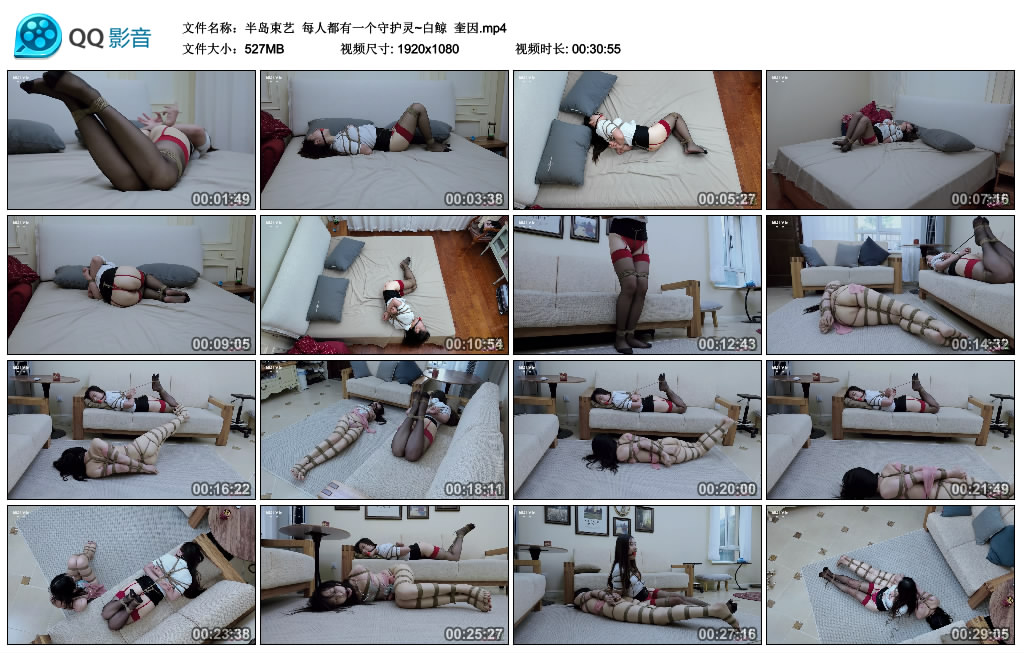 【半岛束艺】 每人都有一个守护灵~白鲸  奎因_HD绳艺资源