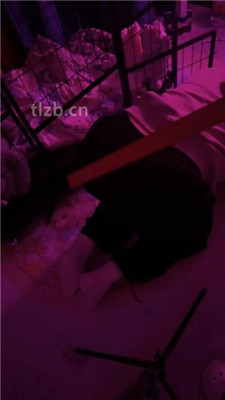 图片[6]_【璐璐大王】圈养M跪舔长靴踩踏/重度sp_HD绳艺资源