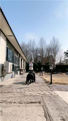 图片[5]_【沅芷大人】圈养犬化-户外狗链遛狗_HD绳艺资源