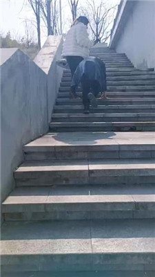 图片[4]_【乐爷】河边挑战犯错的家奴_HD绳艺资源