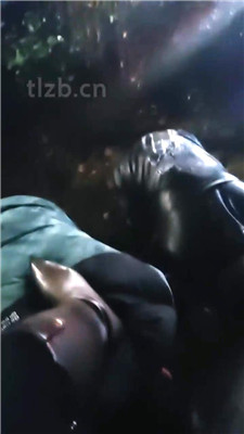 【乐爷】户外遛狗犬化训练_HD绳艺资源