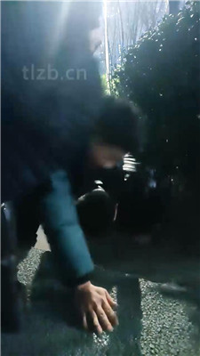 图片[5]_【乐爷】户外遛狗犬化训练_HD绳艺资源