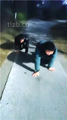 图片[6]_【乐爷】户外遛狗犬化训练_HD绳艺资源