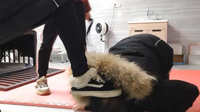 图片[4]_【格桑】双S-带表妹一起玩废物狗_HD绳艺资源