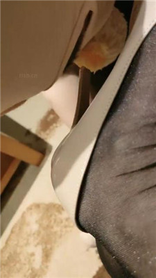 图片[8]_【猫大大】锁链囚禁/踩踏/脚喂食_HD绳艺资源