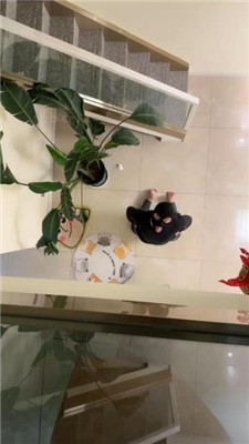 图片[11]_【辣姐】下班后老板给女下属清理脏鞋_HD绳艺资源