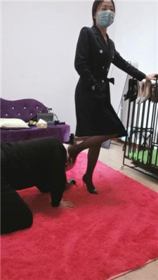 图片[3]_【凌儿】骑马转胯/高跟踩喂食/口水_HD绳艺资源