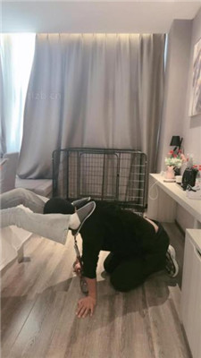 图片[7]_【小雅老师】狗笼圈养犬化绿帽前任【下】_HD绳艺资源