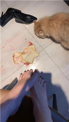 图片[13]_【温柔03】近距离踩踏食物_HD绳艺资源