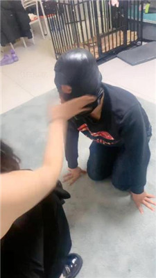 图片[14]_【蜜糖情侣】双S-跪舔脏鞋/骑狗背/耳光_HD绳艺资源