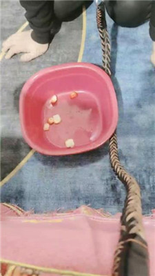 【三公主殿下】绿帽老公生活化伺候【下】_HD绳艺资源