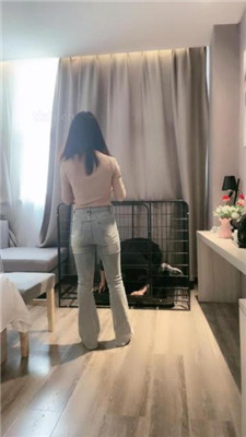 【小雅老师】狗笼圈养犬化绿帽前任【上】_HD绳艺资源