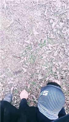 图片[3]_【长沙乂乂】户外遛狗跪舔长靴_HD绳艺资源