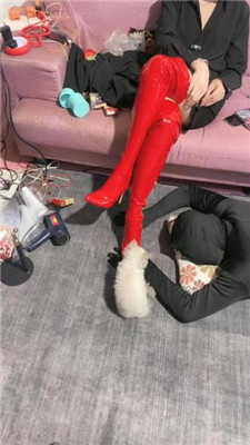 图片[5]_【冰诺】高跟长靴全体重踩狗爪【完整版】_HD绳艺资源