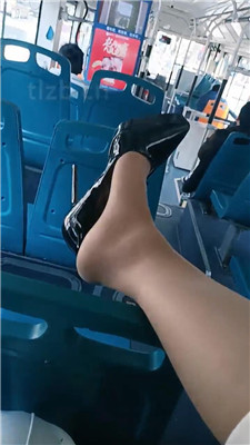 【乐爷】公交车上让狗伺候_HD绳艺资源