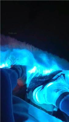 图片[3]_【长沙桃子】囚禁虐外地过来的狗_HD绳艺资源