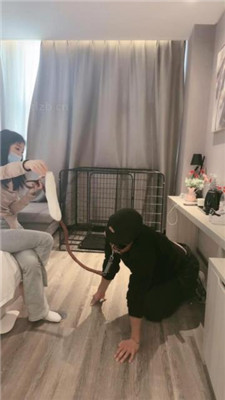 图片[10]_【小雅老师】狗笼圈养犬化绿帽前任【下】_HD绳艺资源