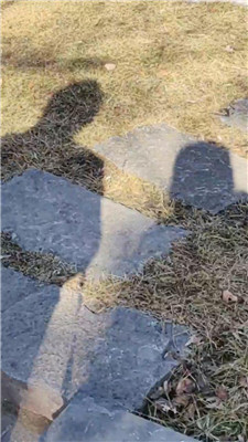 图片[3]_【丝丝清欢】户外牵狗链_HD绳艺资源