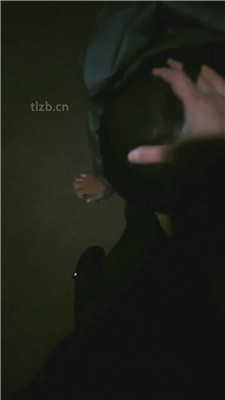 图片[6]_【鲨鲨S】户外遛狗-公开处刑_HD绳艺资源