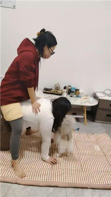 图片[10]_【樱樱】情侣主-让闺蜜下跪伺候-骑狗背/踩踏/奴下奴【四】_HD绳艺资源