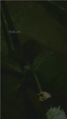 图片[8]_【鲨鲨S】户外遛狗-公开处刑_HD绳艺资源