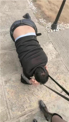 图片[11]_【沅芷大人】犬化改造/长鞭驯化/遛_HD绳艺资源