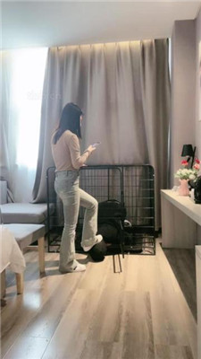 图片[2]_【小雅老师】狗笼圈养犬化绿帽前任【上】_HD绳艺资源