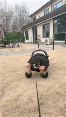 图片[9]_【沅芷大人】犬化改造/长鞭驯化/遛_HD绳艺资源