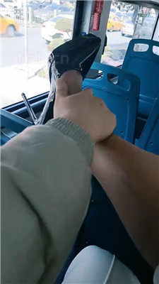 图片[2]_【乐爷】公交车上让狗伺候_HD绳艺资源