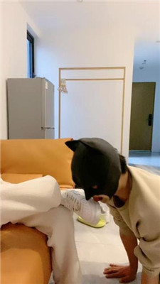 图片[28]_【甜味药丸】打手心/清理小白鞋棉袜/赏赐圣水/提档_HD绳艺资源