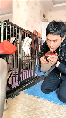 图片[12]_【刘二狗】沦为金融白领的擦鞋工具_HD绳艺资源