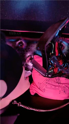 图片[8]_【潘妮绳艺导师】KTV-开发送酒服务生做狗_HD绳艺资源