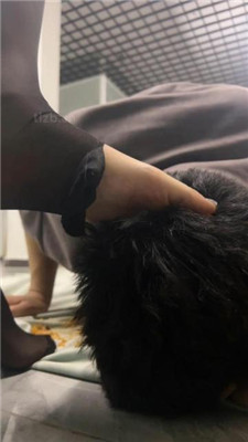 图片[19]_黑丝脚踩/训练/清理鞋底/洗脚水窒息/喂食_HD绳艺资源