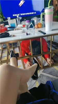 【咩祖】圈养犬化生活-狗笼桌子囚禁/肉丝脚窒息_HD绳艺资源