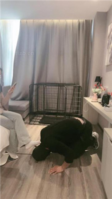 图片[9]_【小雅老师】狗笼圈养犬化绿帽前任【下】_HD绳艺资源