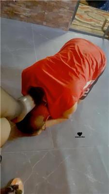 【芊芊】让继父签下卖身契 JS240727-8_HD绳艺资源