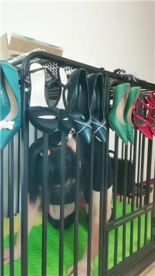 【凌儿女神】母畜-骑马狗爬/训练 bf42812_HD绳艺资源