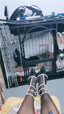 【Dream梦SS】狗笼圈养彻底犬化-第一视角臀辱 JS240731-22_HD绳艺资源