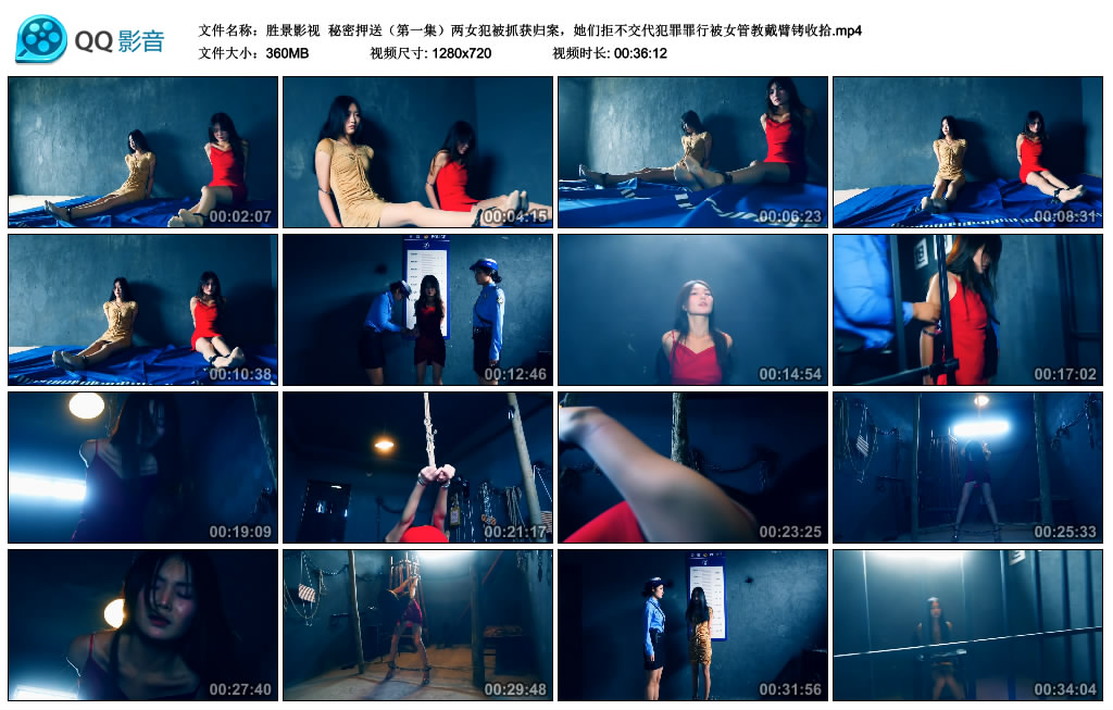 【胜景影视】 秘密押送（第一集）_HD绳艺资源