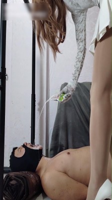 【雅伟S】白高肉丝深喉无情插入，老狗十分驯服 YC-240808-3_HD绳艺资源