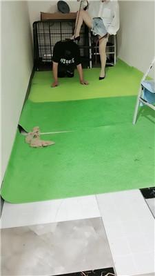 【未央宫】囚禁狗笼/丝袜塞嘴/骑马转胯 bf43335_HD绳艺资源