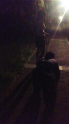 【天韵女皇】户外遛狗爬行/抽耳光/训练/【双视角版】JS240813-19_HD绳艺资源