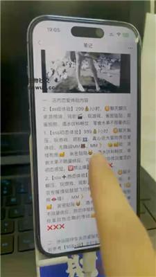 【狗哥】全程实录开发女仆店-耳光踩踏坐脸 JS240806-7_HD绳艺资源