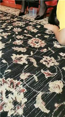 【圈养基地】赏赐人形犬晚餐/清理脏马桶/艺术淋浴 JS240805-10_HD绳艺资源