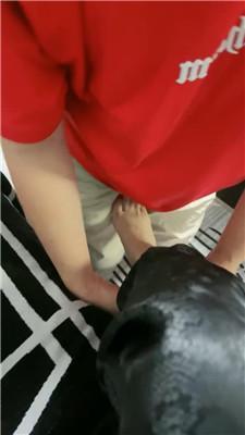 【梦露】监督绿帽奴做家务 JS240819-11_HD绳艺资源