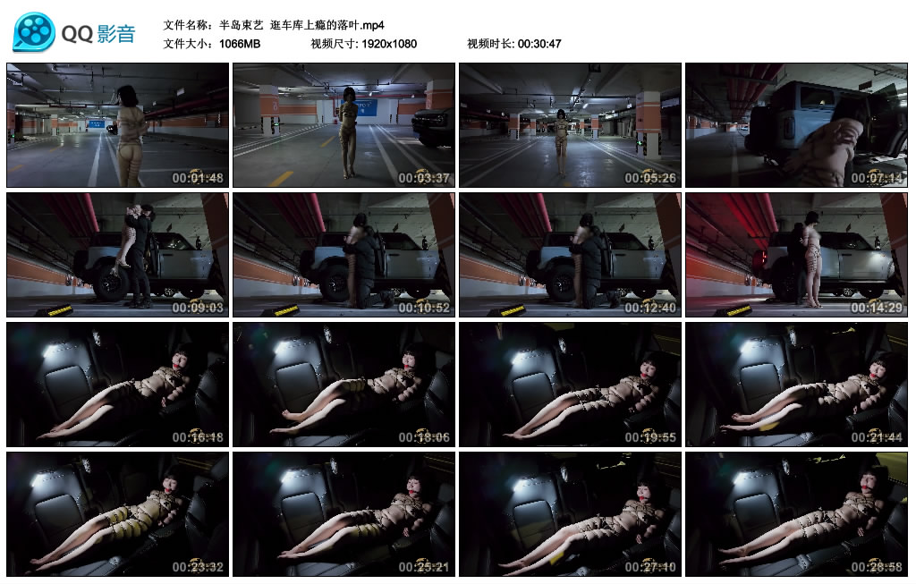 【半岛束艺】 逛车库上瘾的落叶_HD绳艺资源